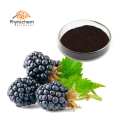 Wholesale High quality Mulberry fruit juice extract powder